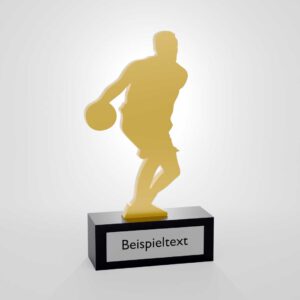 Basketball - Trophy Budget