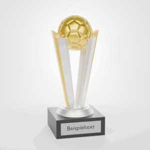 Fußball - Trophy Standard