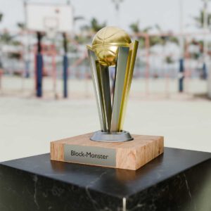 Basketball - Trophy Standard