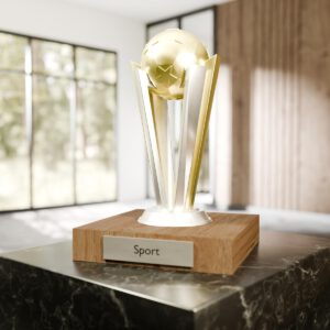 Fußball - Trophy Standard