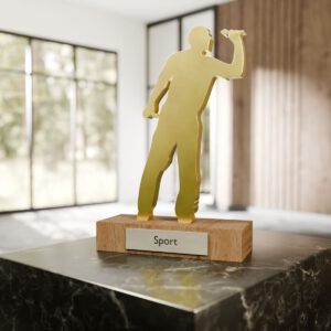 Darts - Trophy Basic